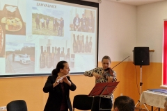 IMG-3a4f95dfc1c395c9a43b764195b3e572-V