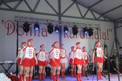 IMG-422d5de35bd1b58a7cd5fb902ab0ed11-V