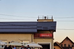 IMG-a55709812c03b9f418c70704cc803c1c-V
