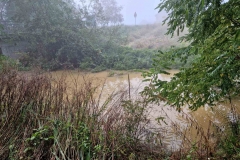 IMG-c0c9593b0d15d353fdabcea6dae255b3-V