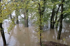 IMG-c433d551aed3afa6a148a0bc4ce70205-V