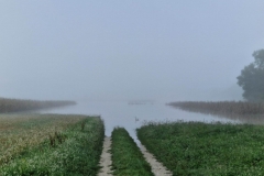 IMG-c5421c3056aebb01c889130ceb974994-V