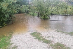 IMG-cfaa241856f92ebc68d7ed0b3cace442-V