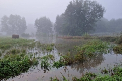 IMG-dd7006eeb6d7ef01db5376a7511e3f8d-V