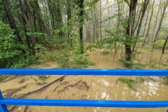 IMG-e7db24c64800bfed1d47047438fcdb2c-V