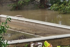 IMG-ee76021048216423d15d8f3c74815ac6-V