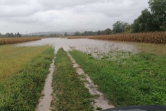 IMG-ff9b72e0f96d4042800681b10fd01e42-V