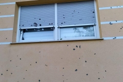 IMG-6f89c701a39fffae17de2090c330636e-V