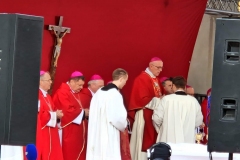 IMG-21673ff290f873eb0acb2647da5248f8-V