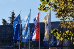 IMG-6ab0608bffbcec65a3127cef8d46422c-V